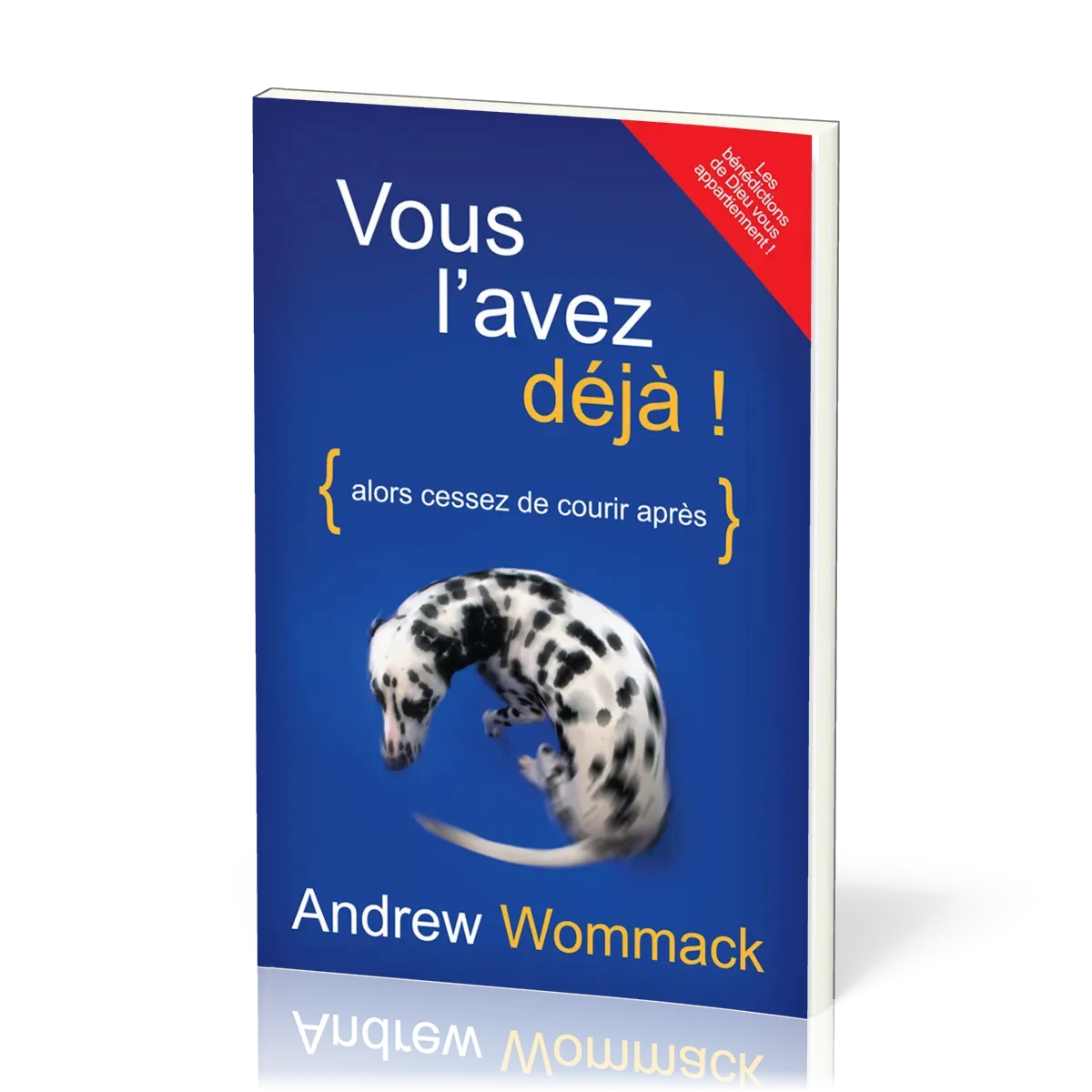 Vous l'avez déjà ! Alors cessez de courir après - Nouvelle édition révisée