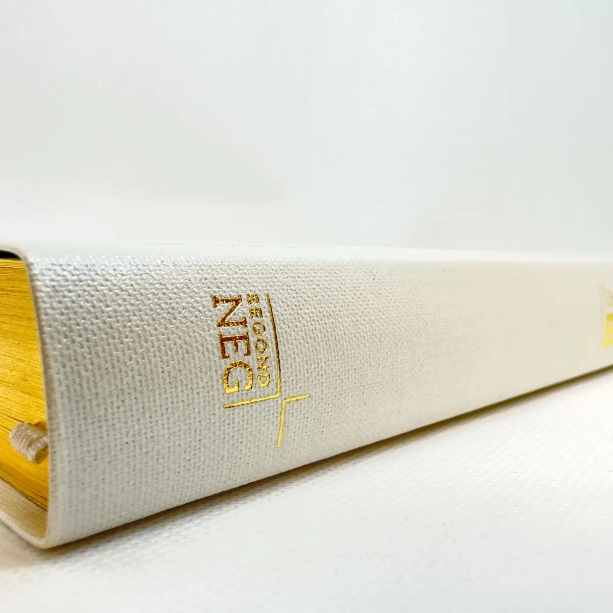 Bible Segond NEG gros caractères - blanche