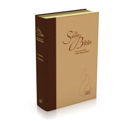 Bible NEG MacArthur - duo marron et beige - souple, toile, tranche or
