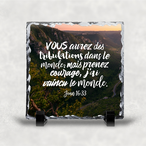 Ardoise illustrée " Vous aurez des tribulations "