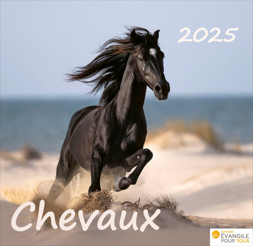 CAL CHEVAUX  MERVEILLES DE LA CREATION