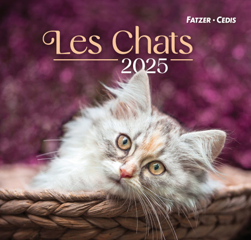 CAL NOS AMIS LES CHATS GRAND FORMAT