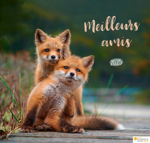 Cal Meilleurs amis - grand format