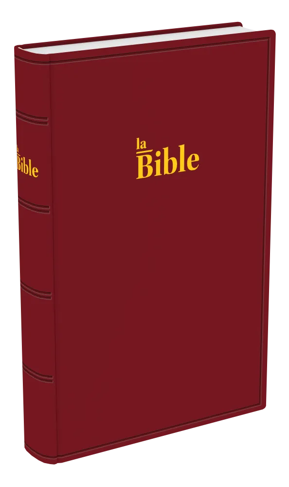 Bible Darby 2024, standard rigide grenat