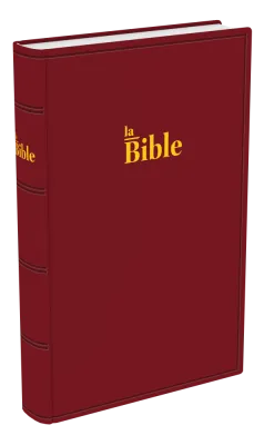 Bible Darby 2024, standard rigide grenat