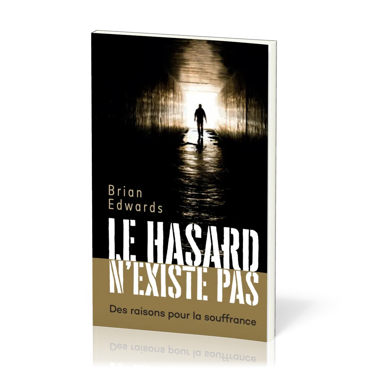 Hasard n'existe pas (Le) - Des raisons pour la souffrance