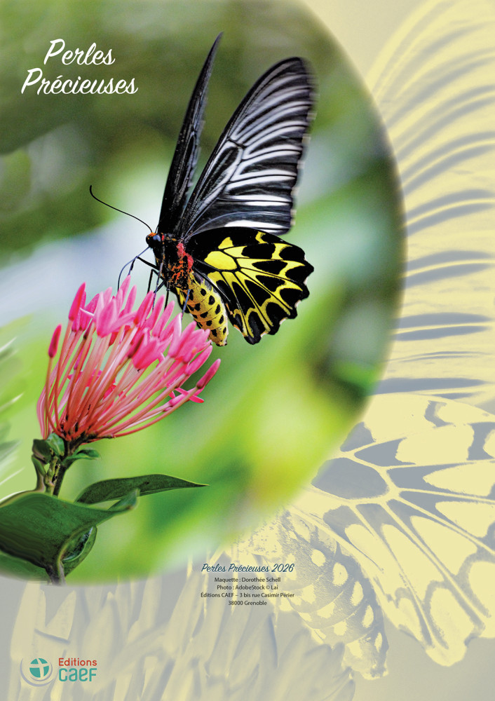 CAL PERLES PRECIEUSES A EFFEUILLER