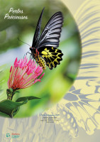 CAL PERLES PRECIEUSES A EFFEUILLER