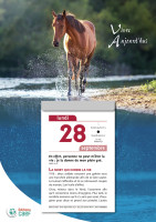 CAL VIVRE AUJOURD'HUI MURAL A EFFEUILLER