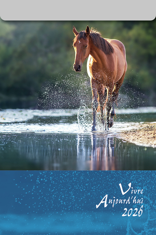 CAL VIVRE AUJOURD'HUI MURAL A EFFEUILLER
