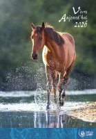 CAL VIVRE AUJOURD'HUI BROCHE
