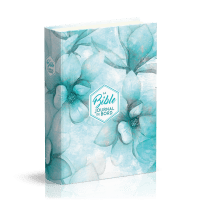 Bible Segond 21 Journal de bord - rigide toilée imprimée motifs