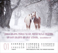 CAL RENCONTRES ANIMAUX