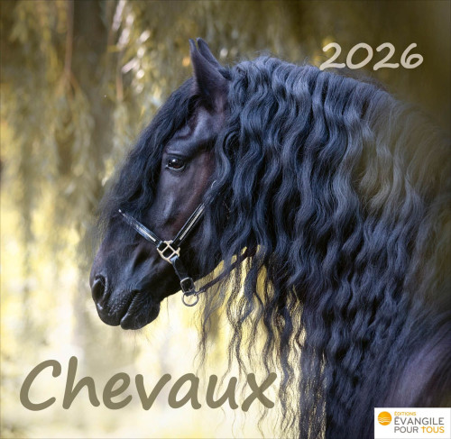 CAL CHEVAUX  MERVEILLES DE LA CREATION