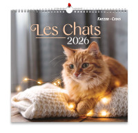 CAL NOS AMIS LES CHATS GRAND FORMAT
