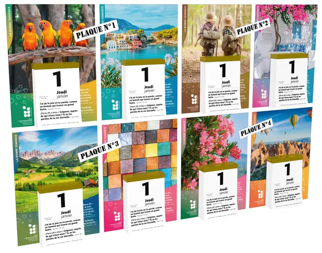 Cal Bonne Semence Français à effeuiller