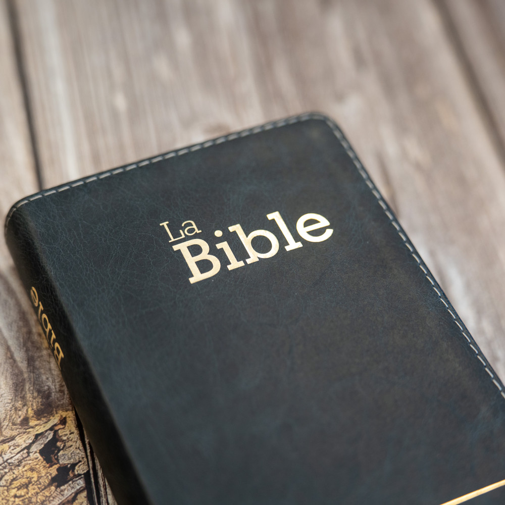 Bible Segond 21 compacte  (Premium style) - Couverture semi-rigide cuir anthracite, tranches or