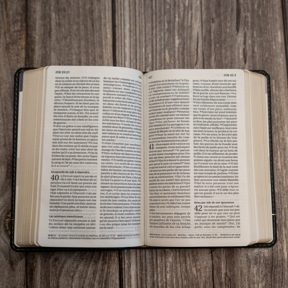 Bible Segond 21 compacte  (Premium style) - Couverture semi-rigide cuir anthracite, tranches or