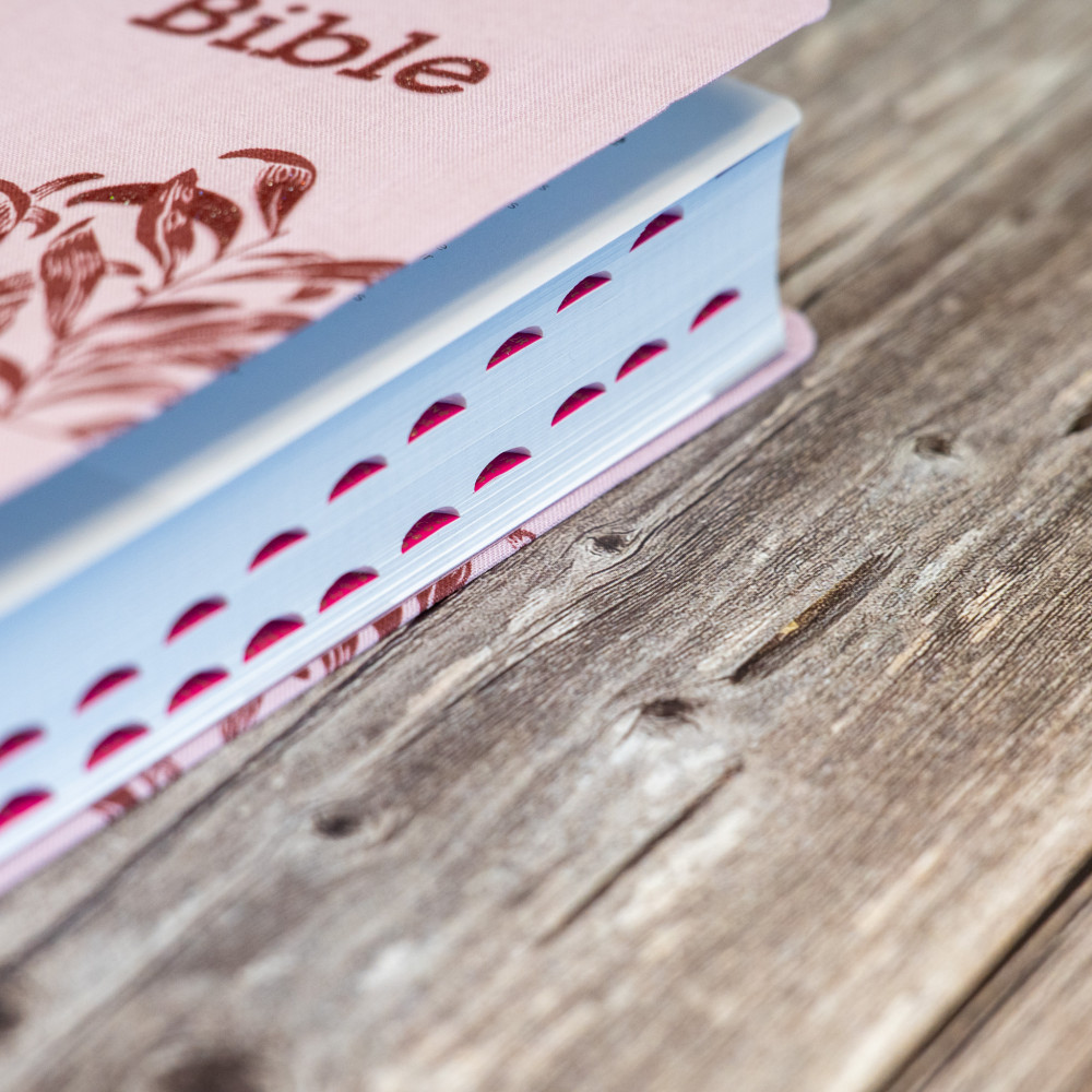 Bible Segond 21 compacte (Premium Style) - couverture souple toile rose et onglets