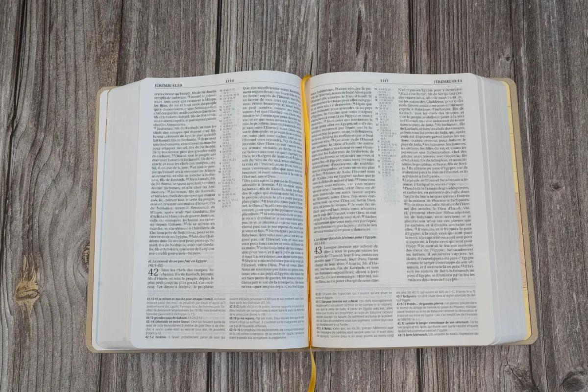 Bible NEG MacArthur semi-rigide, toile beige