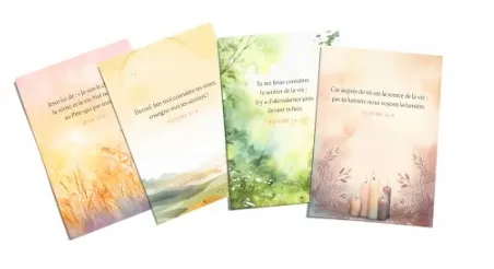 Lot de 100 mini-cartes Vie et Lumière