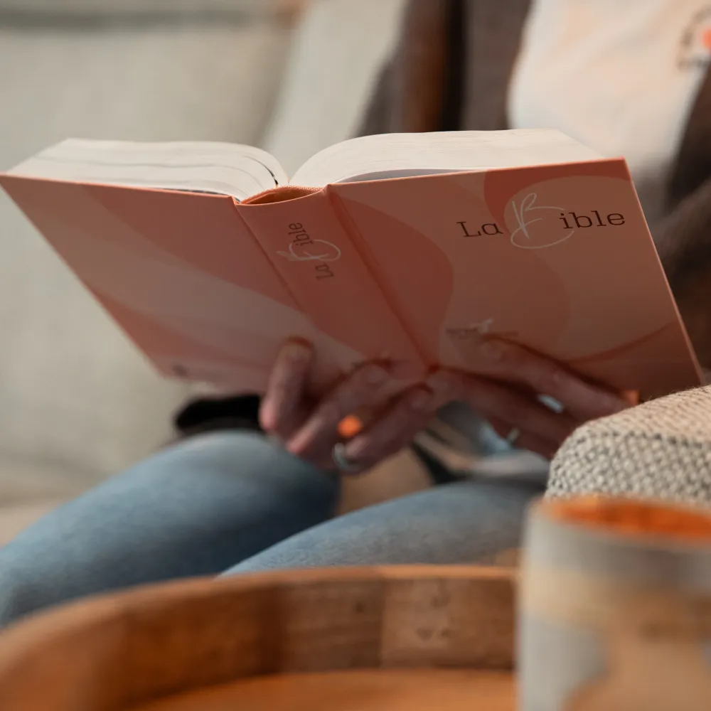 Bible Segond 21, gros caractères - couverture rigide et illustrée - rose