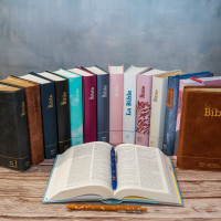 Bible Segond 21 compacte  (Premium style) - Couverture semi-rigide cuir anthracite, tranches or