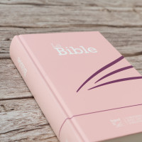 Bible Segond 21 compact rose - couverture rigide Skyvertex