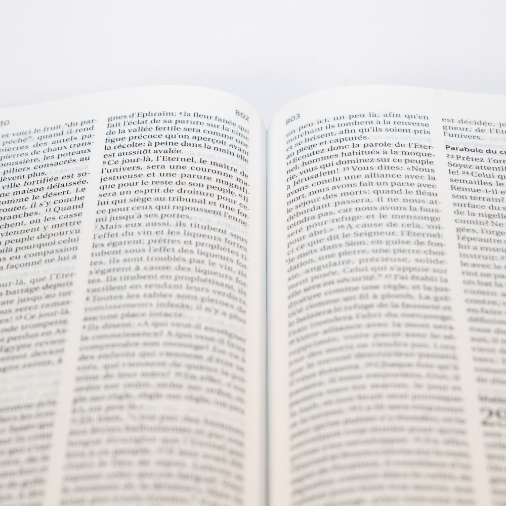 Bible Segond 21 compacte  (Premium style) - Couverture semi-rigide cuir anthracite, tranches or