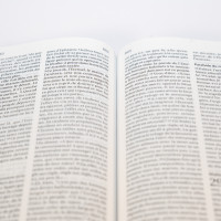 Bible Segond 21 compacte  (Premium style) - Couverture semi-rigide cuir anthracite, tranches or