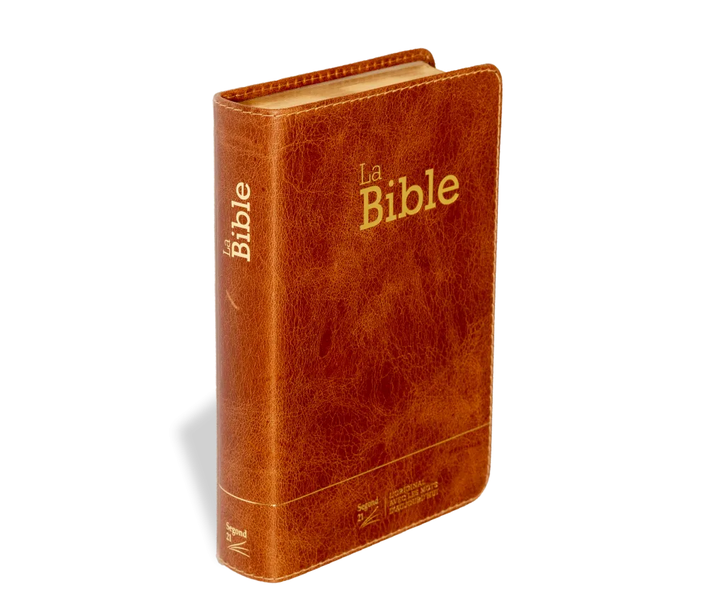 Bible Segond 21 compacte  (Premium style) - Couverture semi-rigide cuir brun, tranches or