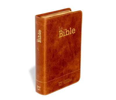 Bible Segond 21 compacte  (Premium style) - Couverture semi-rigide cuir brun, tranches or