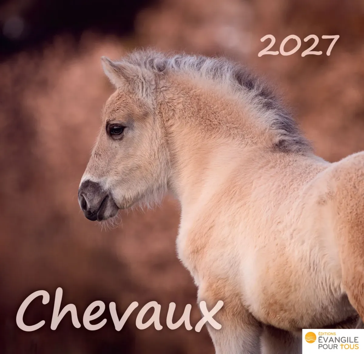 CAL CHEVAUX  MERVEILLES DE LA CREATION