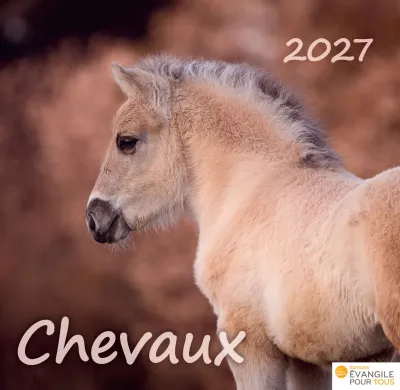 CAL CHEVAUX  MERVEILLES DE LA CREATION