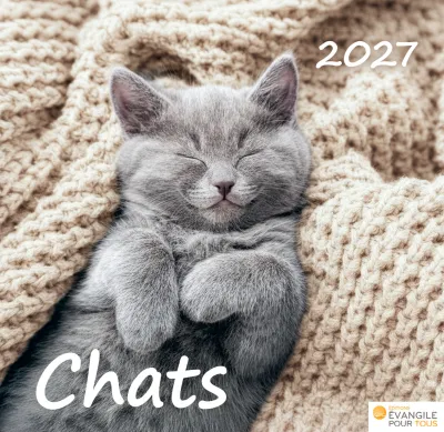 CAL CHATS MERVEILLES DE LA CREATION
