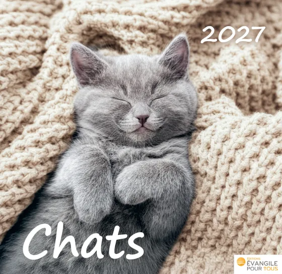 CAL CHATS MERVEILLES DE LA CREATION