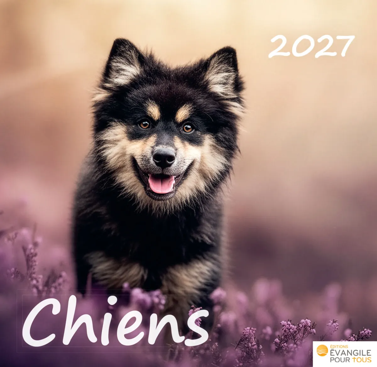 CAL CHIENS - MERVEILLES DE LA CREATION