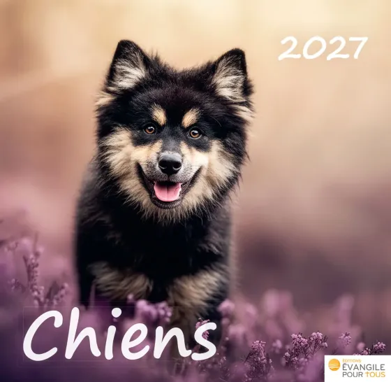CAL CHIENS - MERVEILLES DE LA CREATION