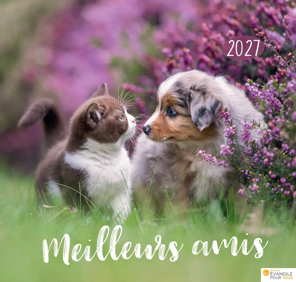 Cal Meilleurs amis - grand format