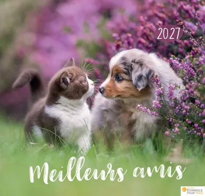 Cal Meilleurs amis - grand format