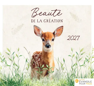 Cal Beauté de la création  - de table