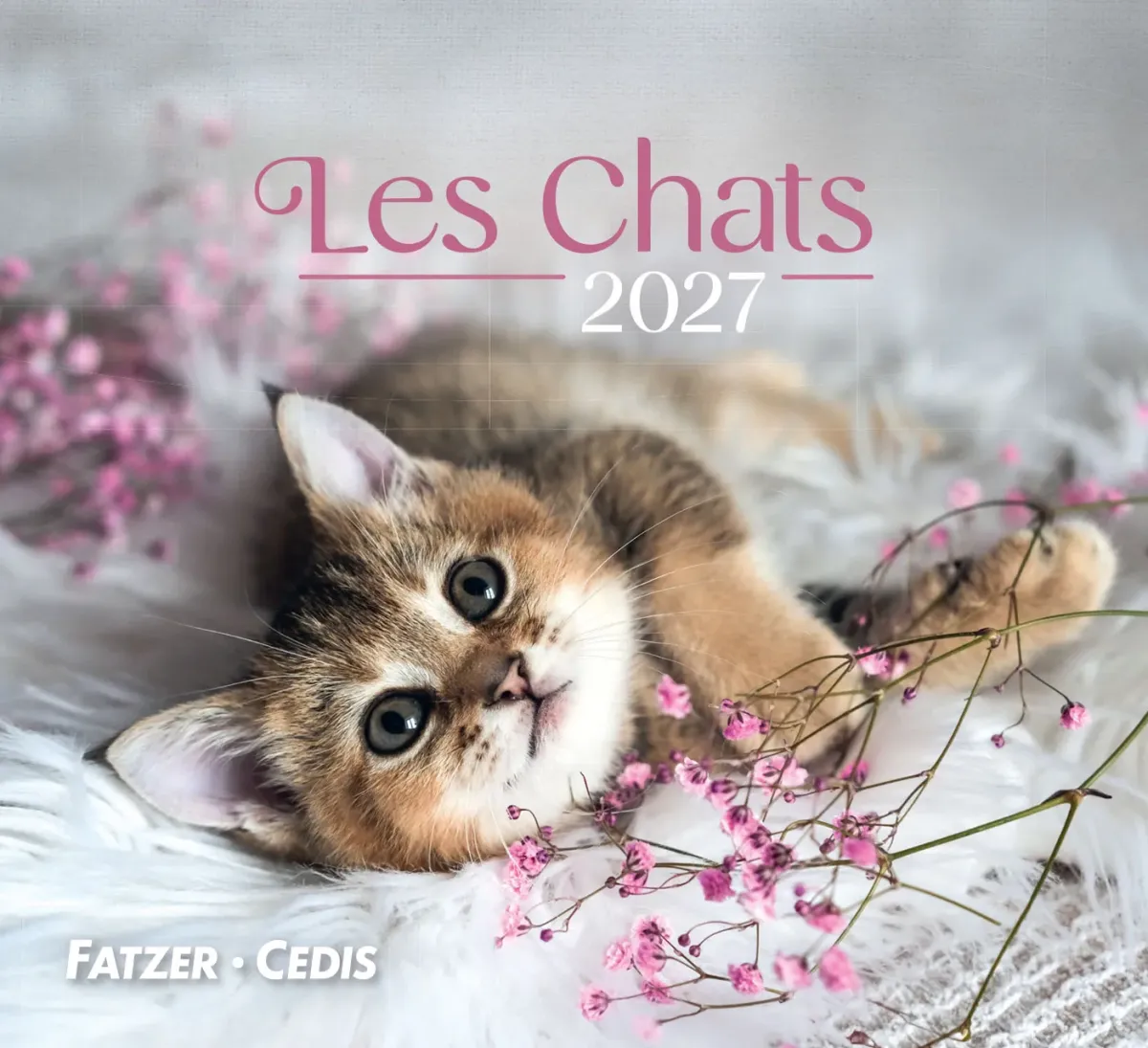 CAL NOS AMIS LES CHATS PETIT FORMAT