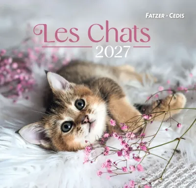 CHATS (LES) - GRAND FORMAT