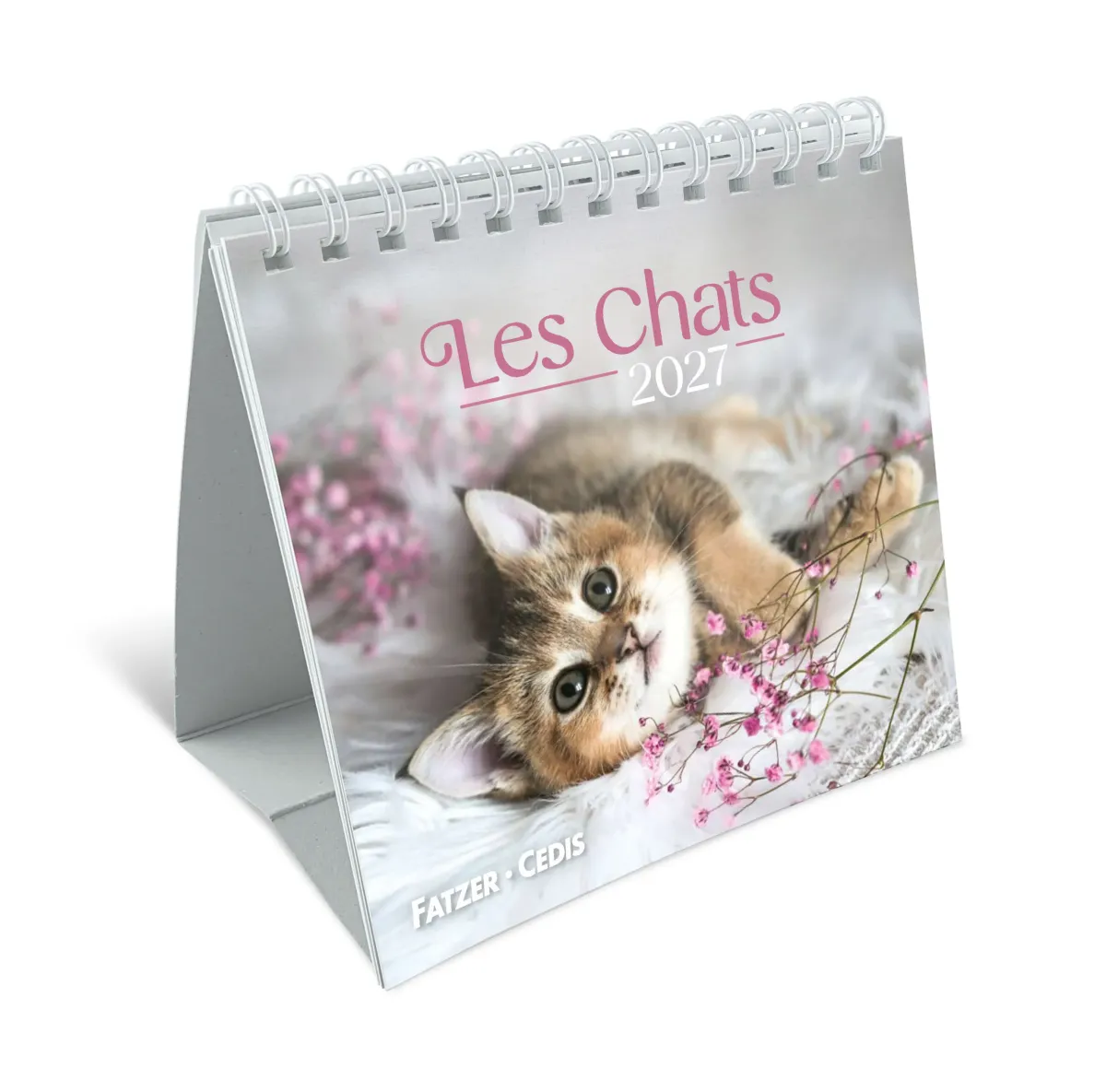 CAL NOS AMIS LES CHATS PETIT FORMAT