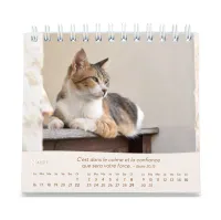 CAL NOS AMIS LES CHATS PETIT FORMAT