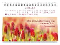 CAL PLAISIR D'OFFRIR GROS CARACTERES