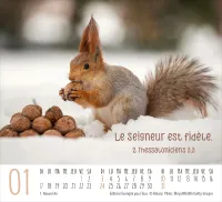 CAL RENCONTRES ANIMAUX