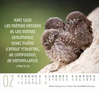 CAL RENCONTRES ANIMAUX