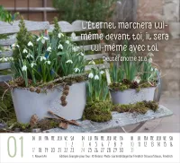 CAL HARMONIE FLEURS