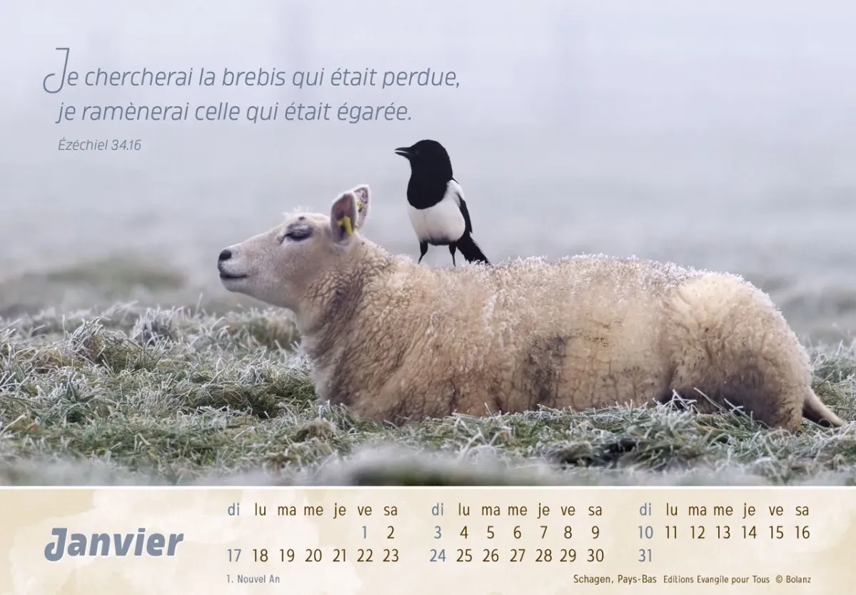 CAL LE BON BERGER